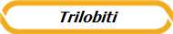 Trilobiti