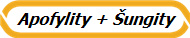 Apofylity + �ungity